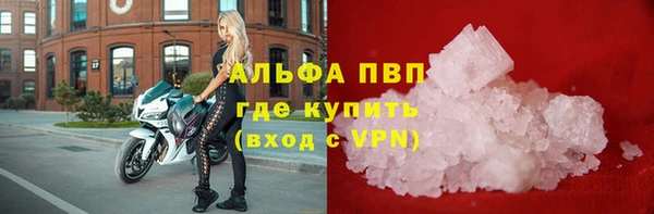 СК Волосово