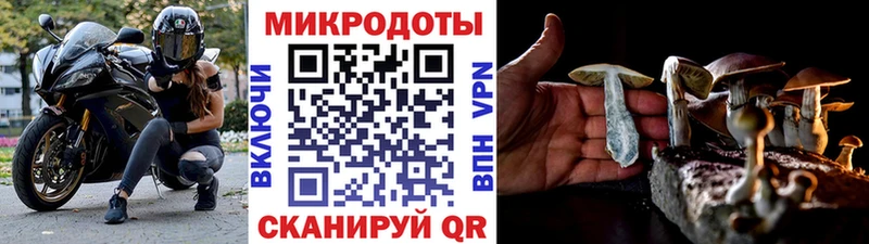 Галлюциногенные грибы MAGIC MUSHROOMS  Ачинск 