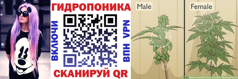 Конопля Amnesia  наркота  маркетплейс телеграм  Ачинск 
